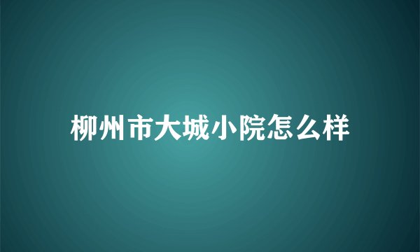 柳州市大城小院怎么样