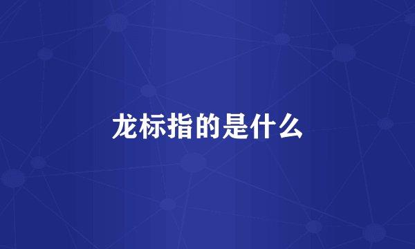 龙标指的是什么