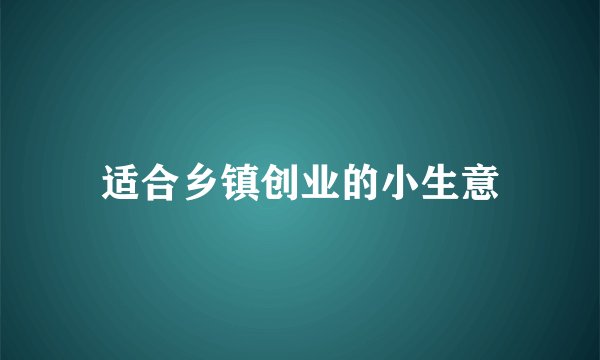 适合乡镇创业的小生意