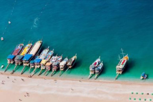 mld是什么意思？