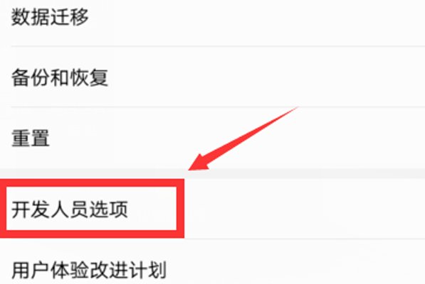 开发者选项在哪里?