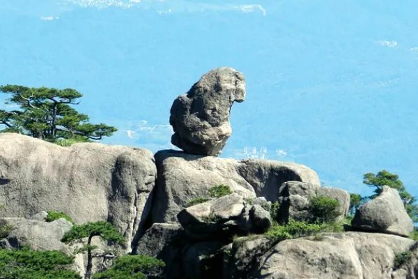 猴子观海就像什么？