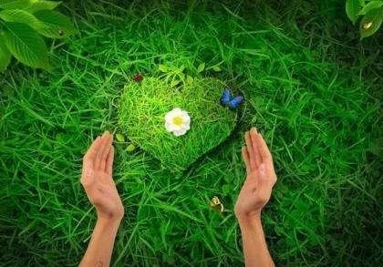 什么叫做心态. 概念是什么