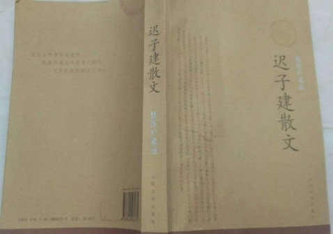 迟子建散文名篇