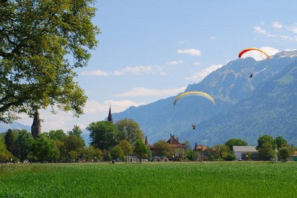 强效催眠曲一听入睡？