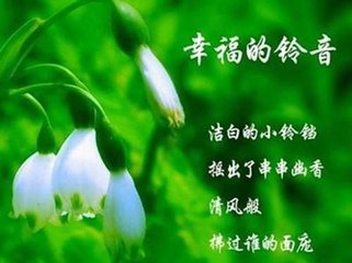 铃兰花语是什么？