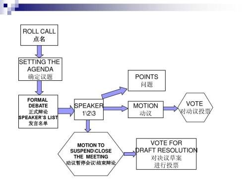 详细介绍一下模拟联合国流程