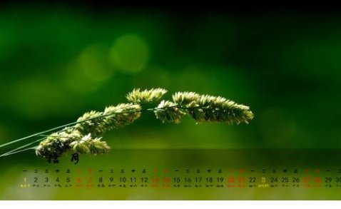 十月的雅称是什么？