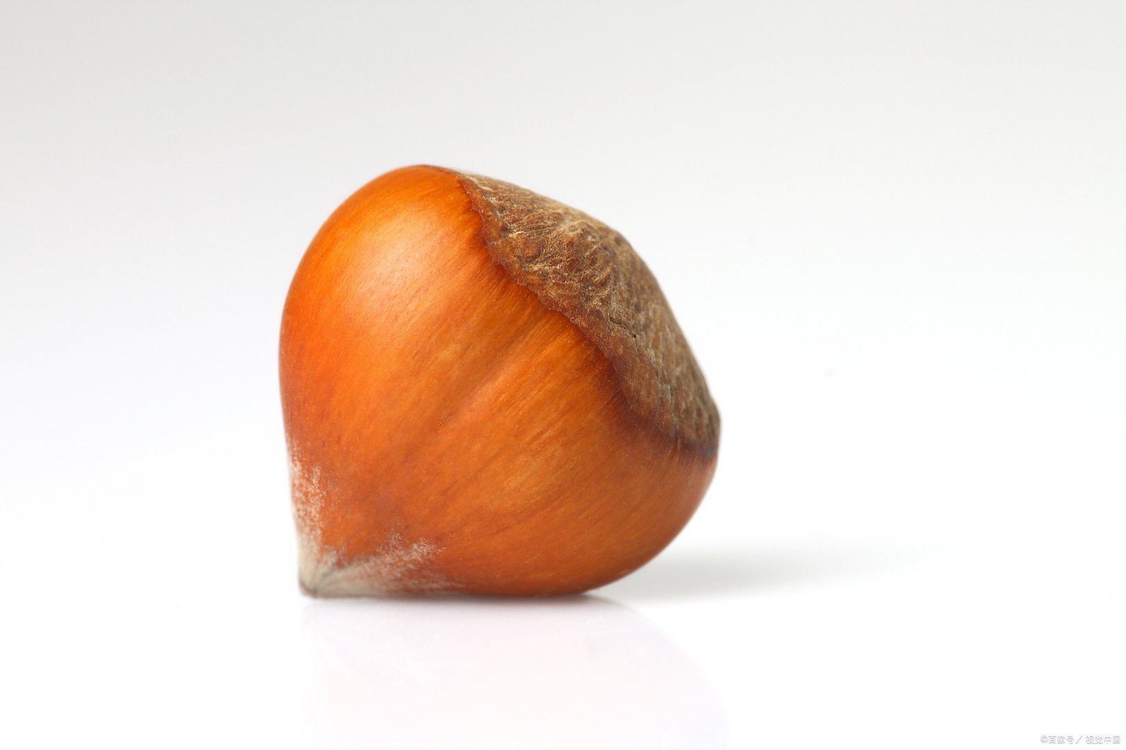 铁岭地区一般怎么处理采收后的榛子？