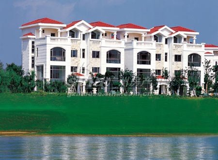 杨二珠的抛售股票