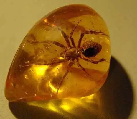 什么是琥珀,什么是蜜蜡?