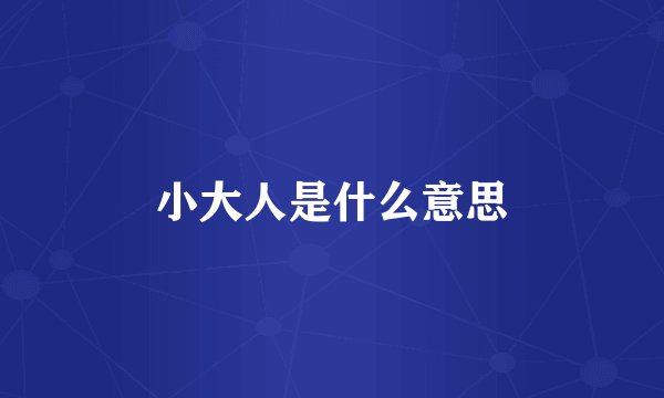 小大人是什么意思