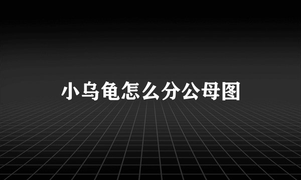 小乌龟怎么分公母图