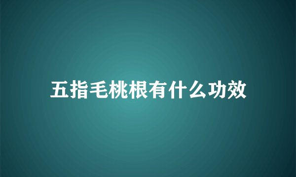 五指毛桃根有什么功效