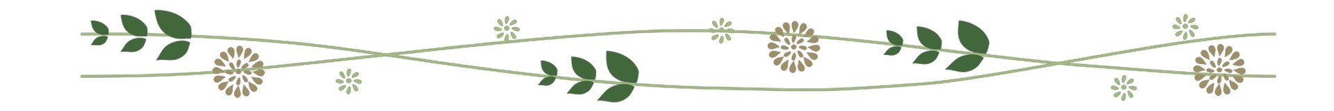 东北财经大学好不好