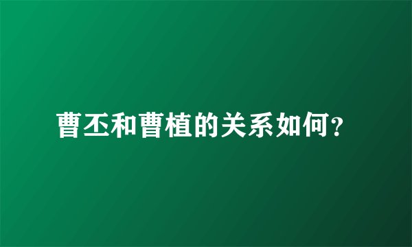 曹丕和曹植的关系如何？