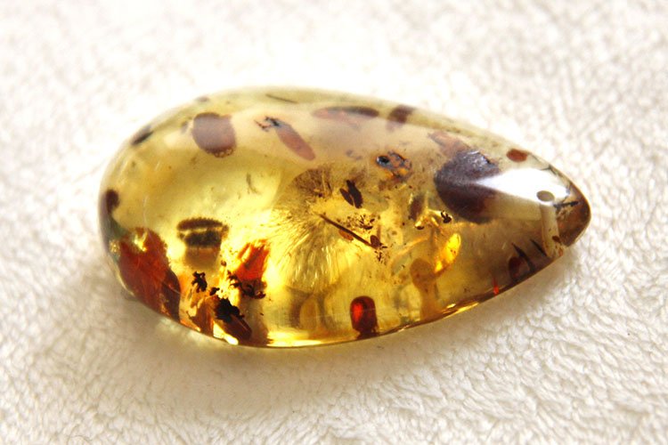 什么是琥珀,什么是蜜蜡?