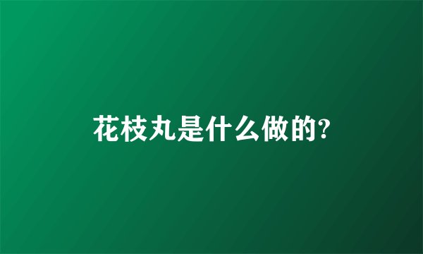 花枝丸是什么做的?