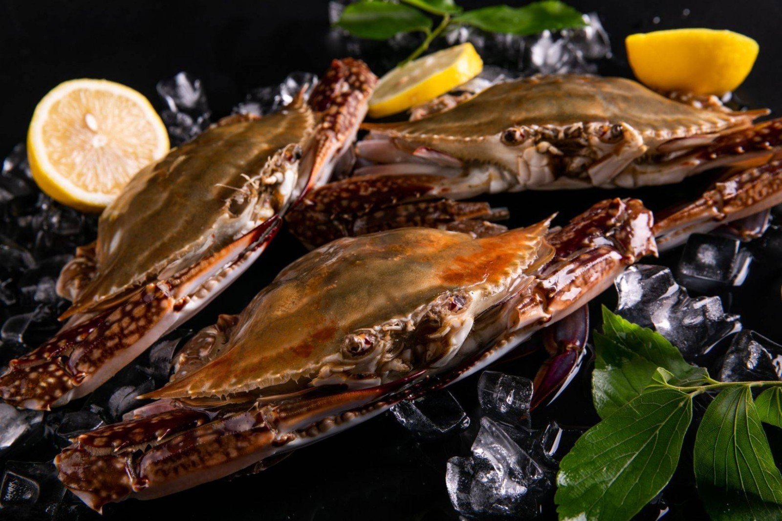 大连海鲜有哪些?