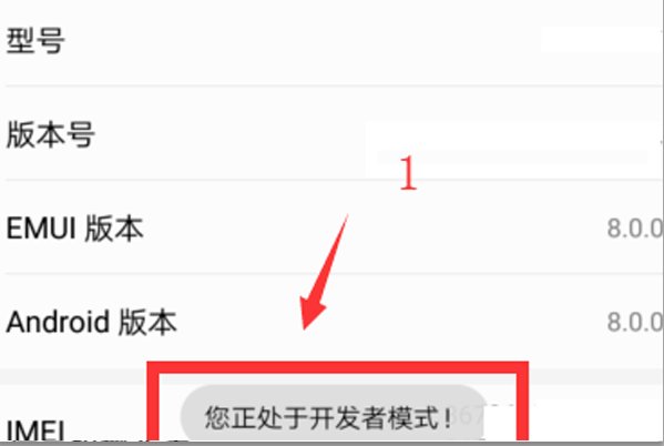 开发者选项在哪里?