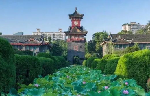 四川大学有哪些专业?