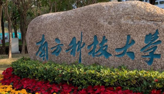 深圳有哪些大学