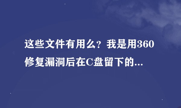 这些文件有用么？我是用360修复漏洞后在C盘留下的！没用 我就把它给删除了。 求高手指点下！