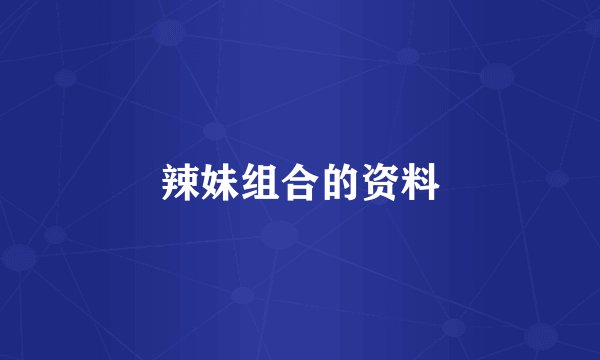 辣妹组合的资料