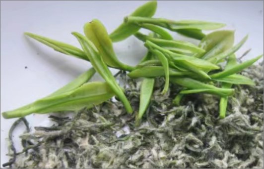 碧螺春属于什么茶