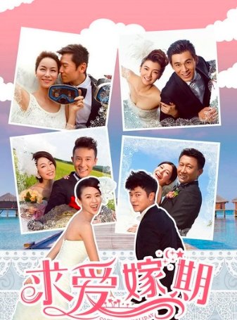 求爱嫁期电视剧剧情