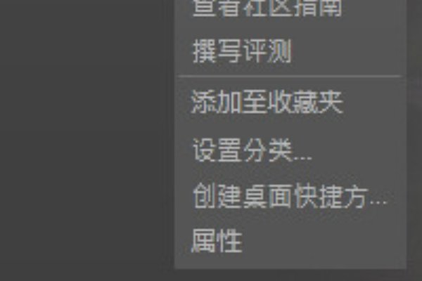 steam游戏的启动项指令的含义