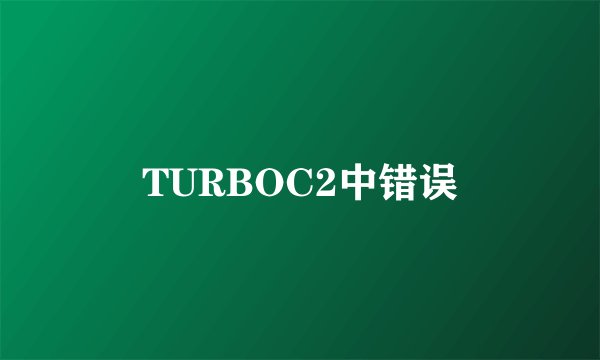TURBOC2中错误