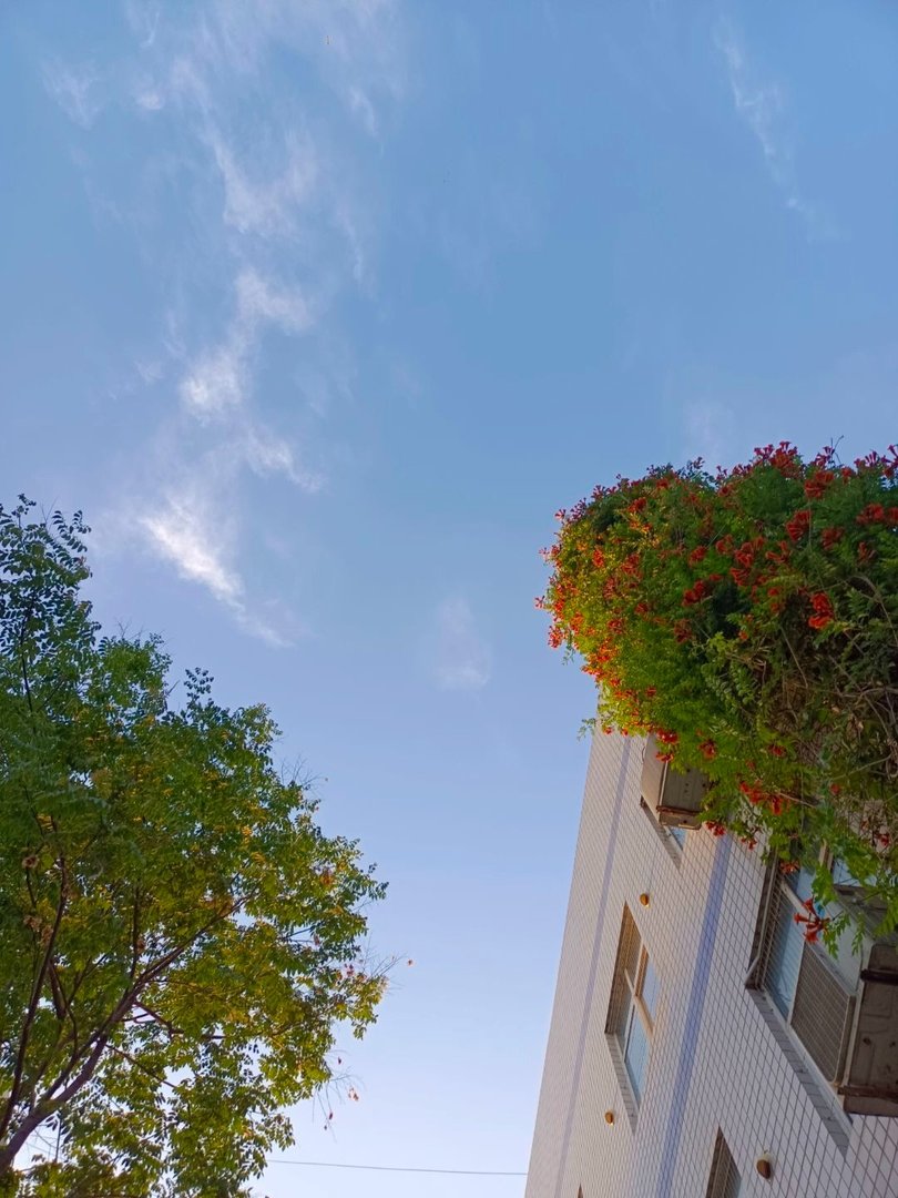 西安文理学院评价