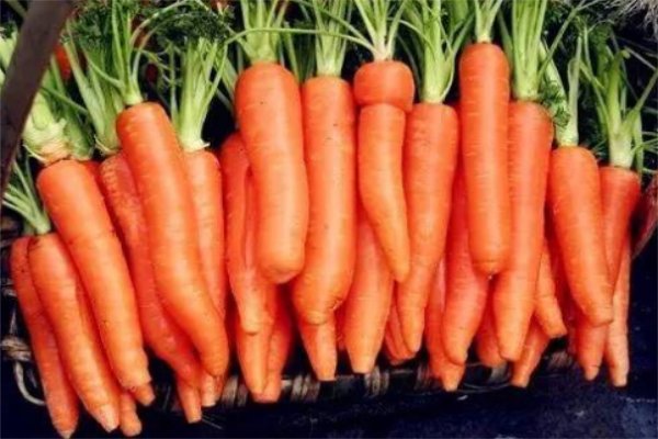 十种排毒养颜的食物有哪些？