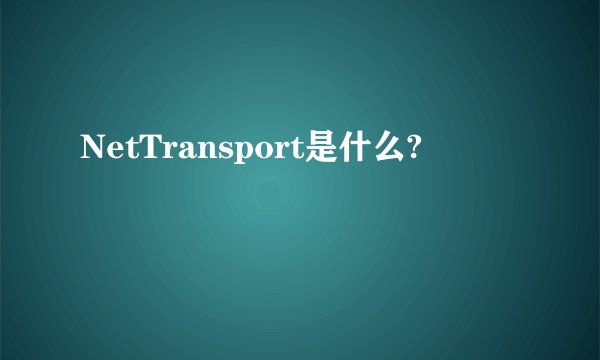 NetTransport是什么?