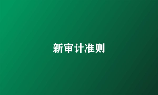 新审计准则