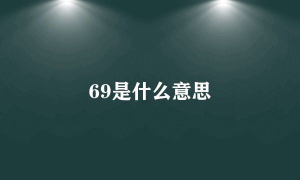 69是什么意思