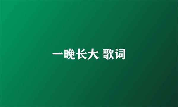一晚长大 歌词