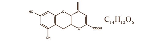 什么是茯茶素？