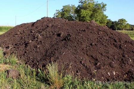 有机肥的正确施肥方法