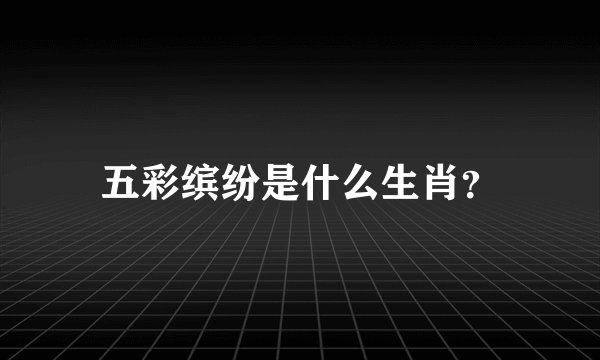 五彩缤纷是什么生肖？