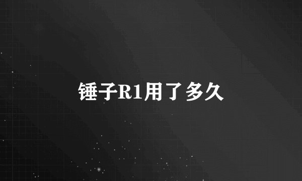 锤子R1用了多久