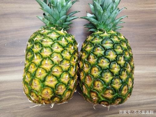 凤梨的养殖方法都有哪些？