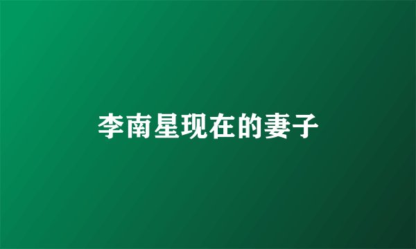 李南星现在的妻子