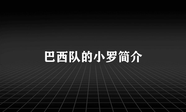 巴西队的小罗简介