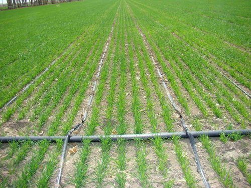 农业节水灌溉的六种灌溉方法是？