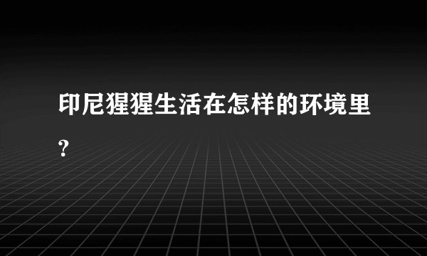 印尼猩猩生活在怎样的环境里？