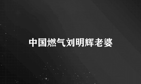 中国燃气刘明辉老婆