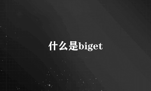 什么是biget
