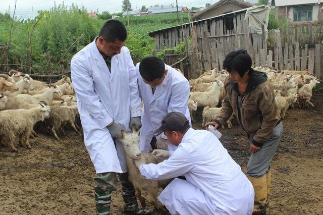 山东省出现炭疽死亡病例，系一名14岁学生，炭疽病是一种什么病？